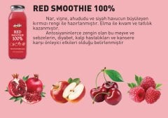 100% Red Smoothie, 12 Adet,250 ml