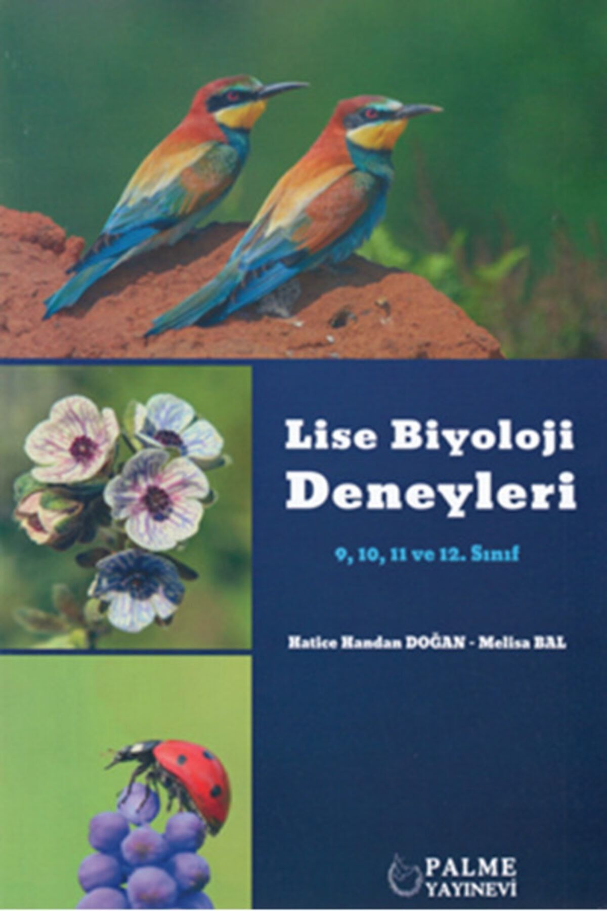 PALME AKADEMİ LİSE BİYOLOJİ DENEYLERİ 9,10,11 VE 12.SINIF