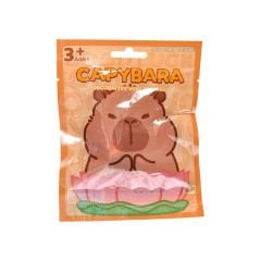 Capybara Sürpriz Paket Anahtarlık