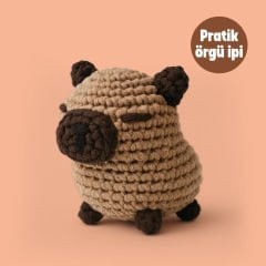 Amigurumi Örgü Seti - The Gookie