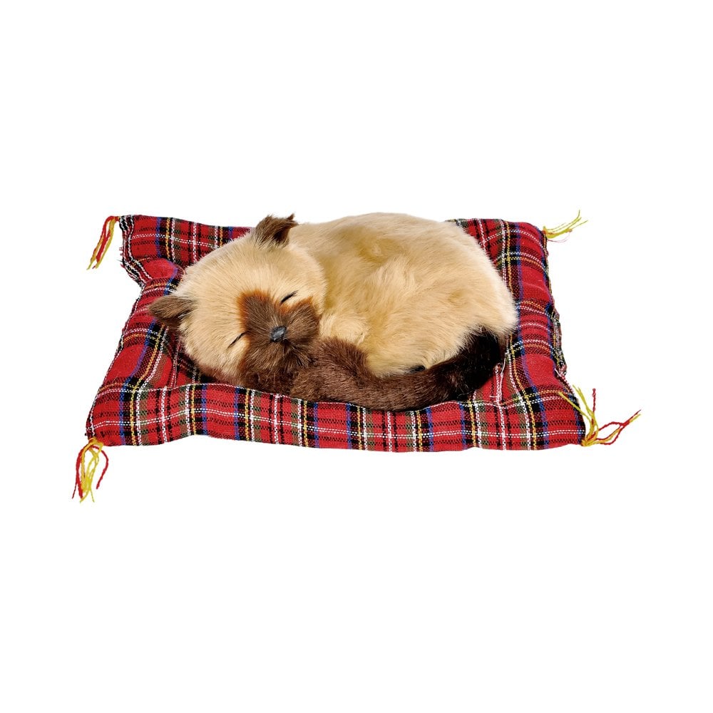 Pelüş Tatlı Patiler - 15x20 cm