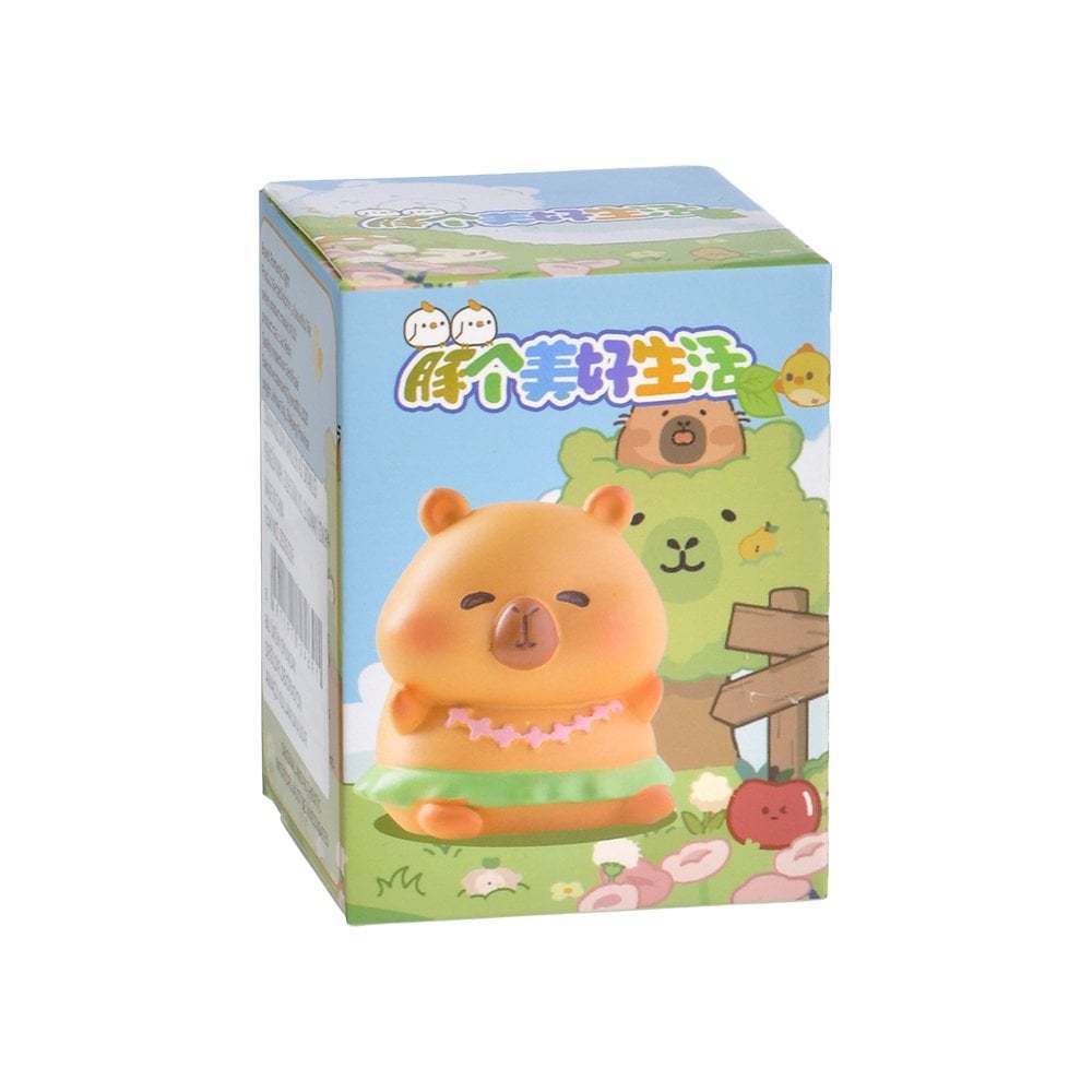 Blind Box Capybara Orman