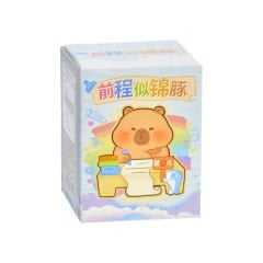 Blind Box Büyük Capybara Okul