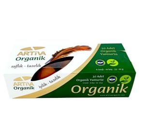 Artiva Organik Yumurta 10lu