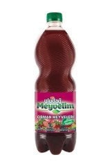 Uludağ Meyvelim Orman Meyveleri 1 Lt