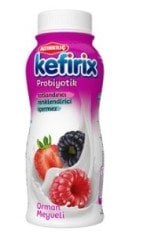 Altınkılıç Kefirix Orman Meyveli 250 Ml