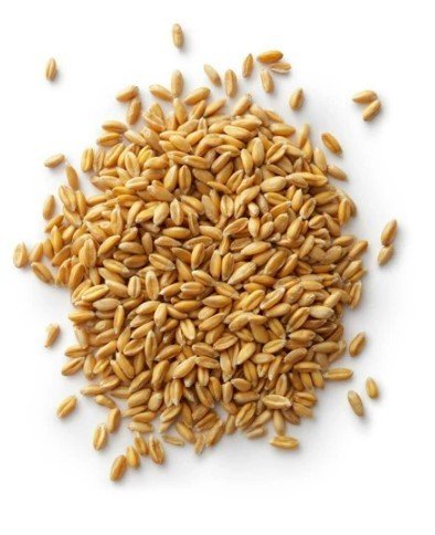 Aşurelik Buğday Kg