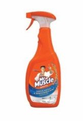 Mr Muscle Banyo Sprey 750 Ml
