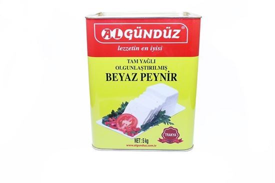 Algündüz Tam Yağlı Olgun. İnek Peyniri Teneke 5Kg
