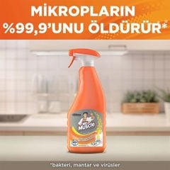 Mr Muscle Advanced Power Mutfak Temizleyici Limon 500ml