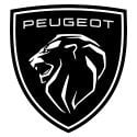 Peugeot Ekran Koruyucu