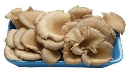 Kartopu İstiridye Mantarı 400 G