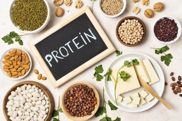 Bitkisel Protein Nedir?