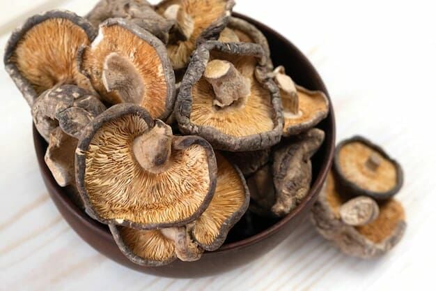 Shiitake Mantarı Faydaları Nelerdir?
