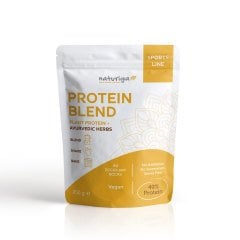 Naturiga Ayurvedik Protein Karışım 250 gr