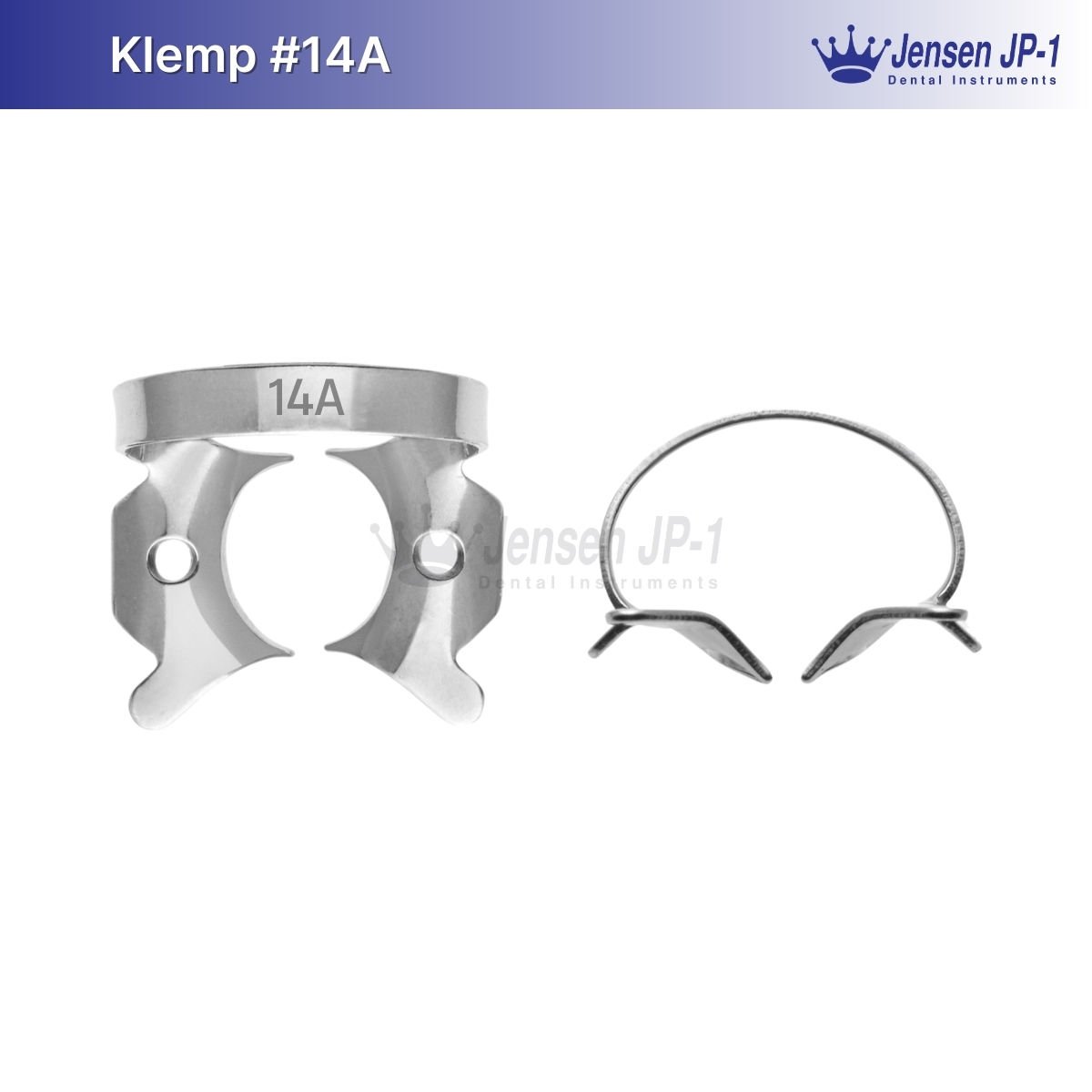 Klemp #14A Molar