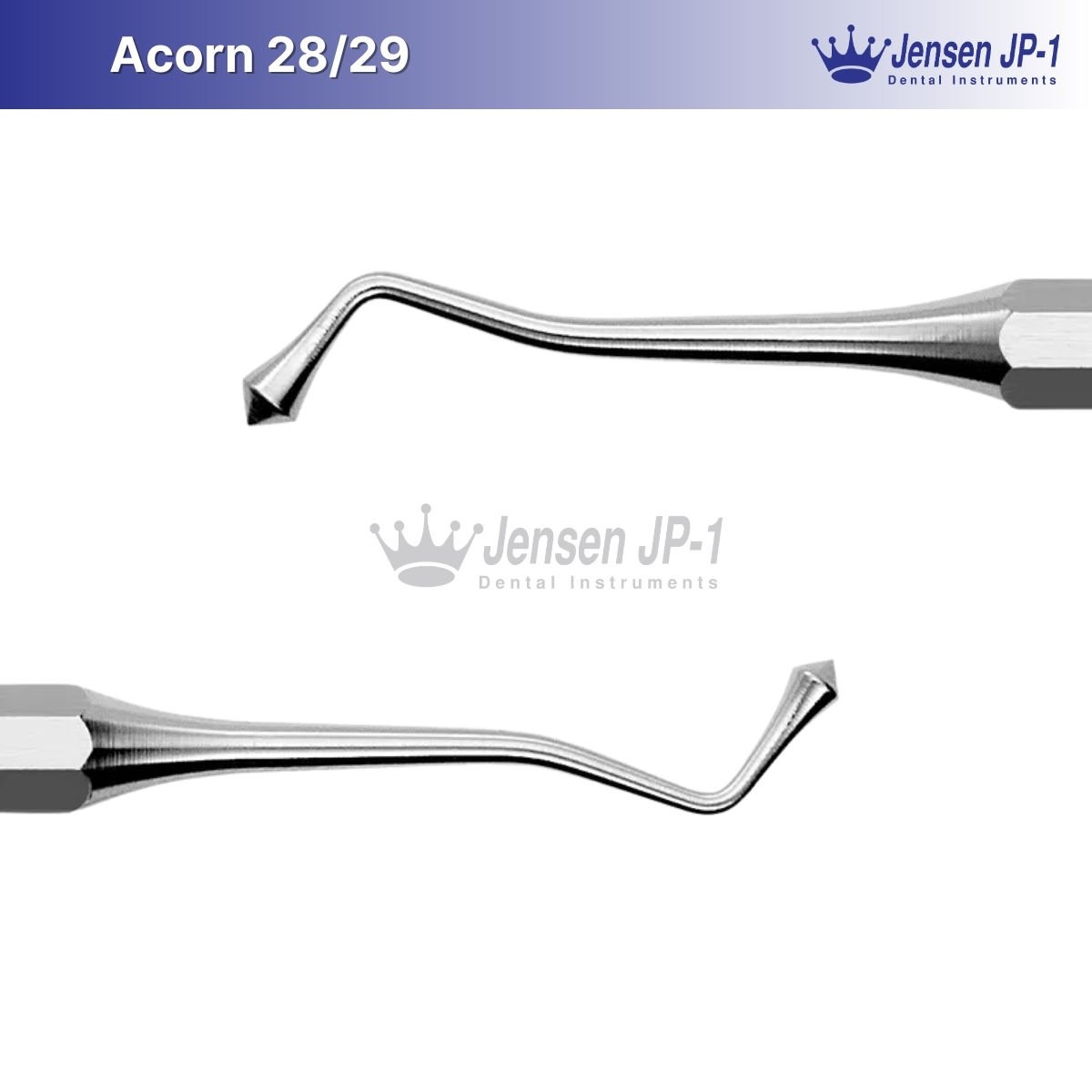 Acorn 28/29