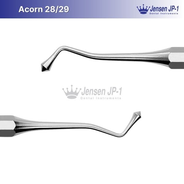 Acorn 28/29