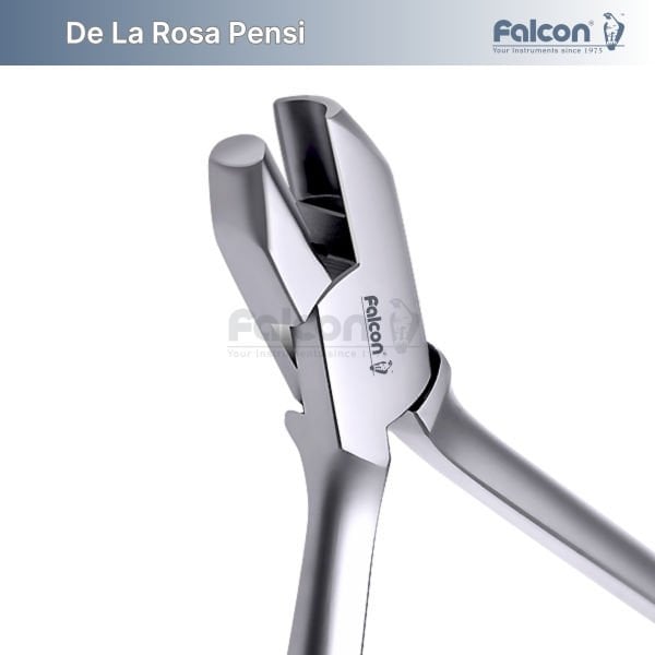 De La Rosa Pensi
