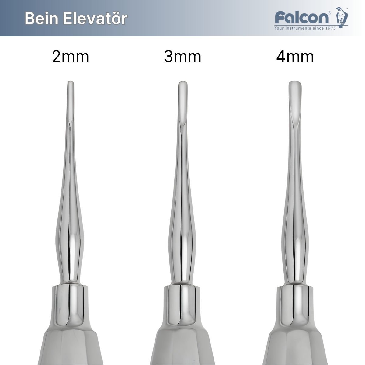 Bein Elevatör