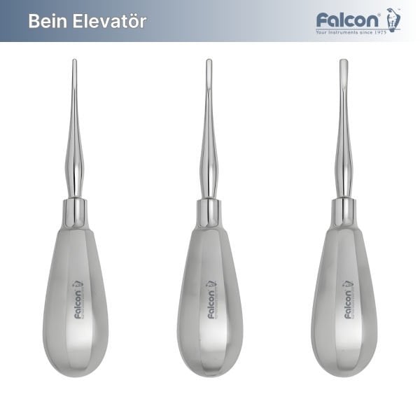Bein Elevatör