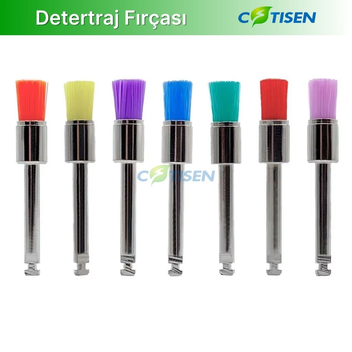 Detertraj Fırçası Düz Uçlu - Cotisen PB02