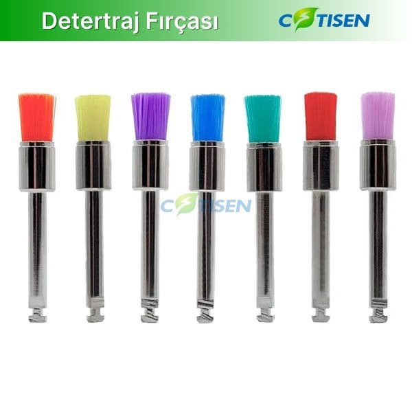 Detertraj Fırçası Düz Uçlu - Cotisen PB02