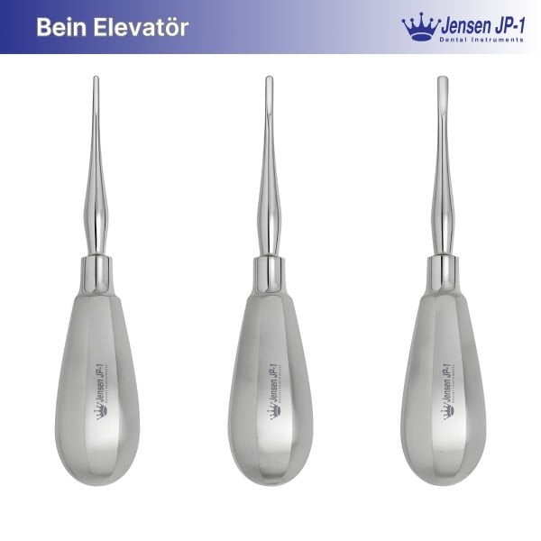 Elevatör (Bein)