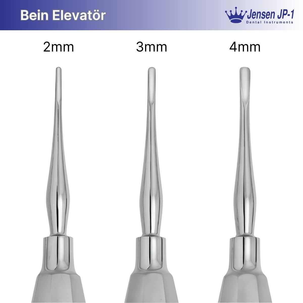 Elevatör (Bein)