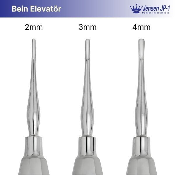 Elevatör (Bein)