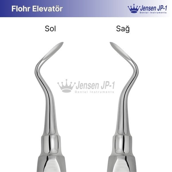 Flohr Elevatör