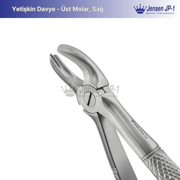 Üst Molar Davye - Sağ