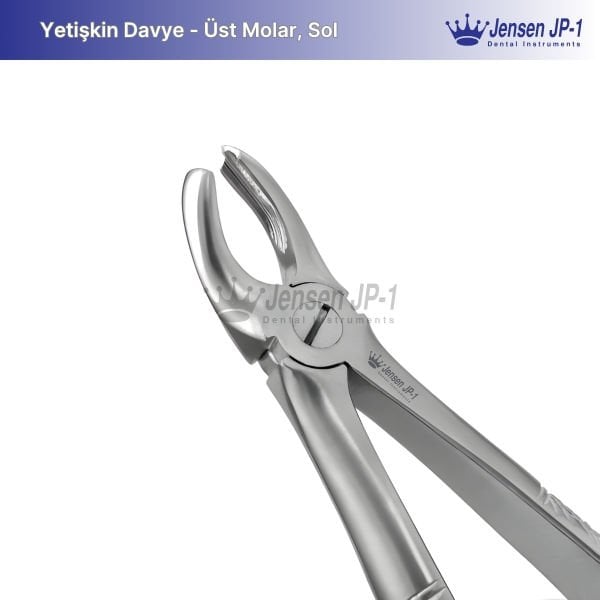 Üst Molar Davye - Sol