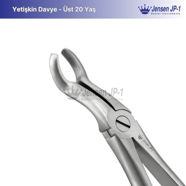 Üst 20 Yaş Davye