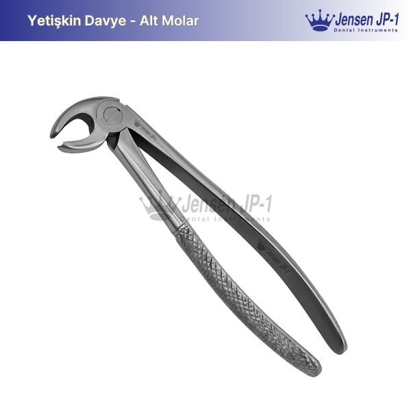 Alt Molar Davye