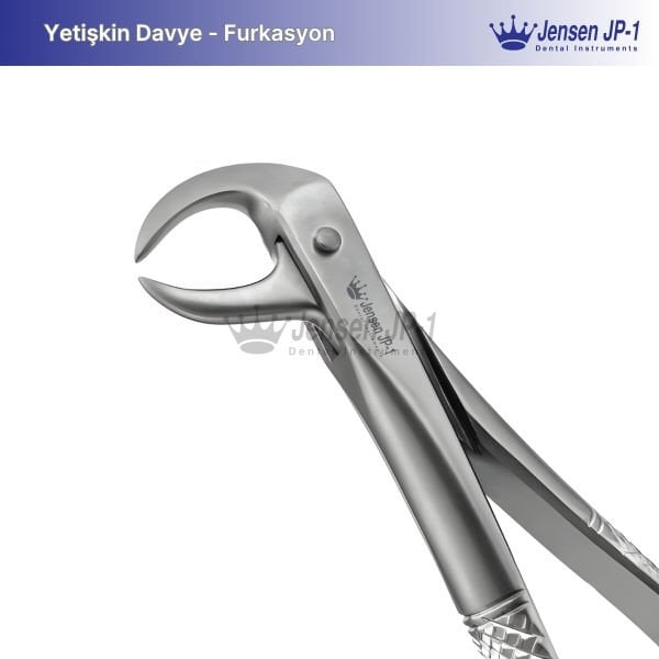 Alt Molar Davye