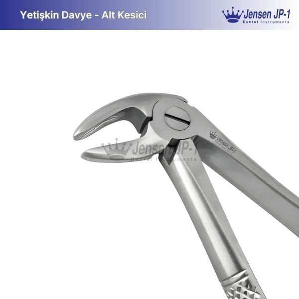 Alt Kesici Davye