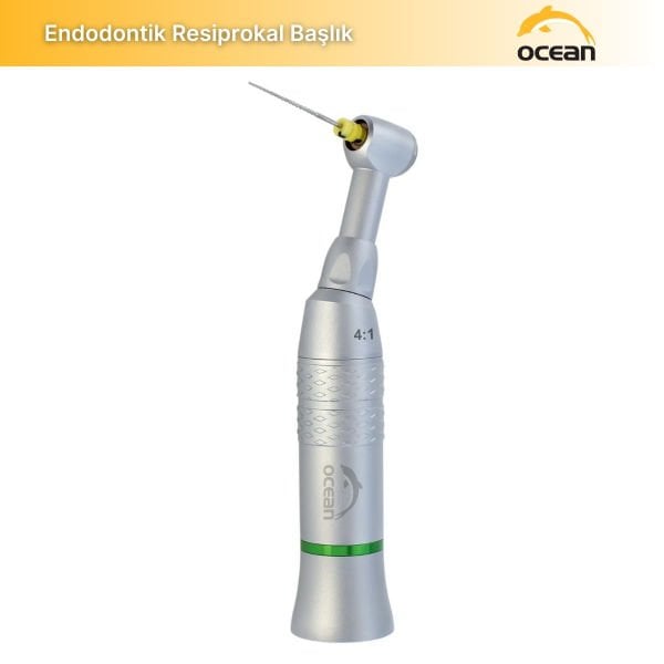 Endodontik Resiprokal Başlık