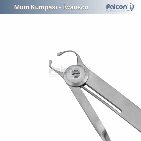 Mum Kumpası - Iwanson