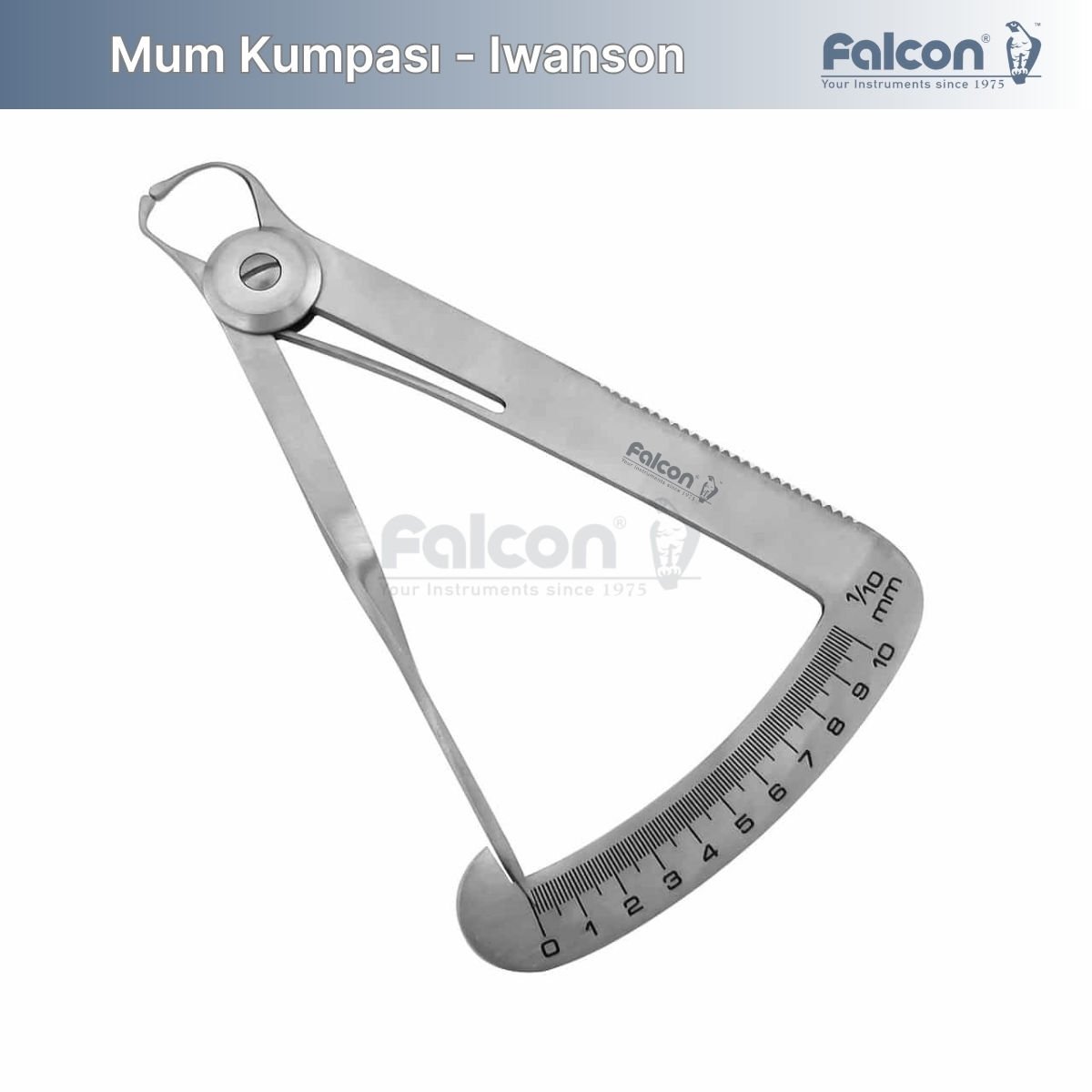 Mum Kumpası - Iwanson
