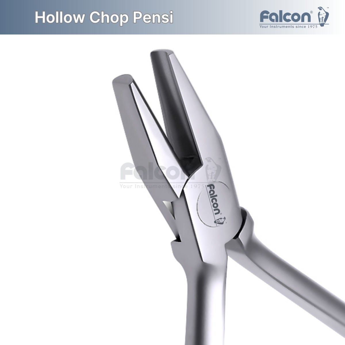 Hollow Chop Pensi