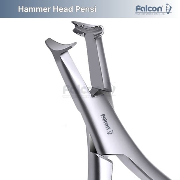 Hammer Head Pensi