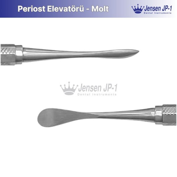Periost Elevatörü - Molt