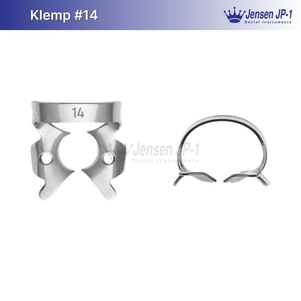 Klemp #14 Molar