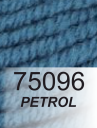 75096 Petrol