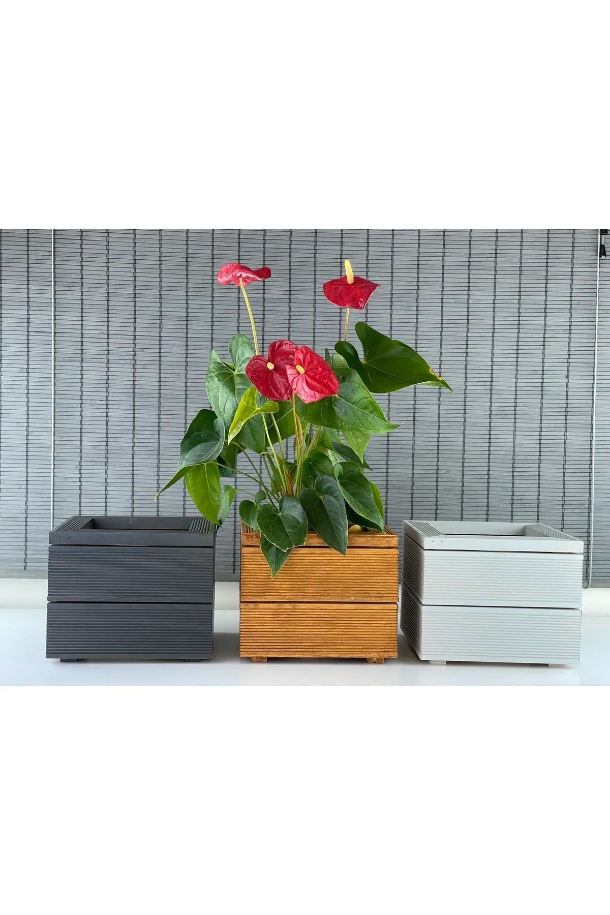 Dekoratif Kare Ahşap Saksı 1.Sınıf İthal Çam İç Saksılı 25x21cm