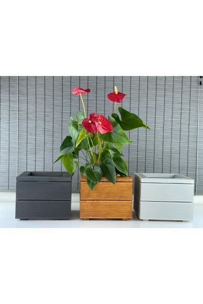 Dekoratif Kare Ahşap Saksı 1.Sınıf İthal Çam İç Saksılı 25x21cm