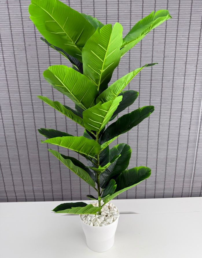 Bahçem Yapay Çiçek Starliçe Salon Çiçeği Beyaz Saksılı Yapay Bitki 23 Yapraklı 85 Cm