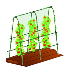 DNF-F - Pwc Hobi Serası 1,2Mx2M