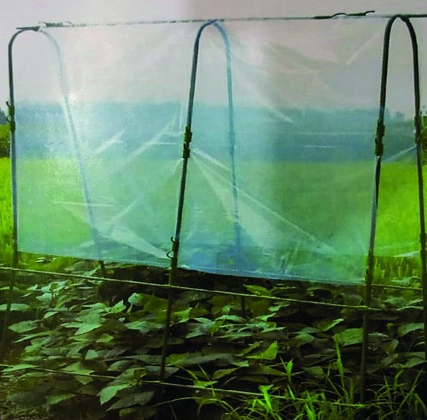 DNF-F - Pwc Hobi Serası 1,2Mx2M